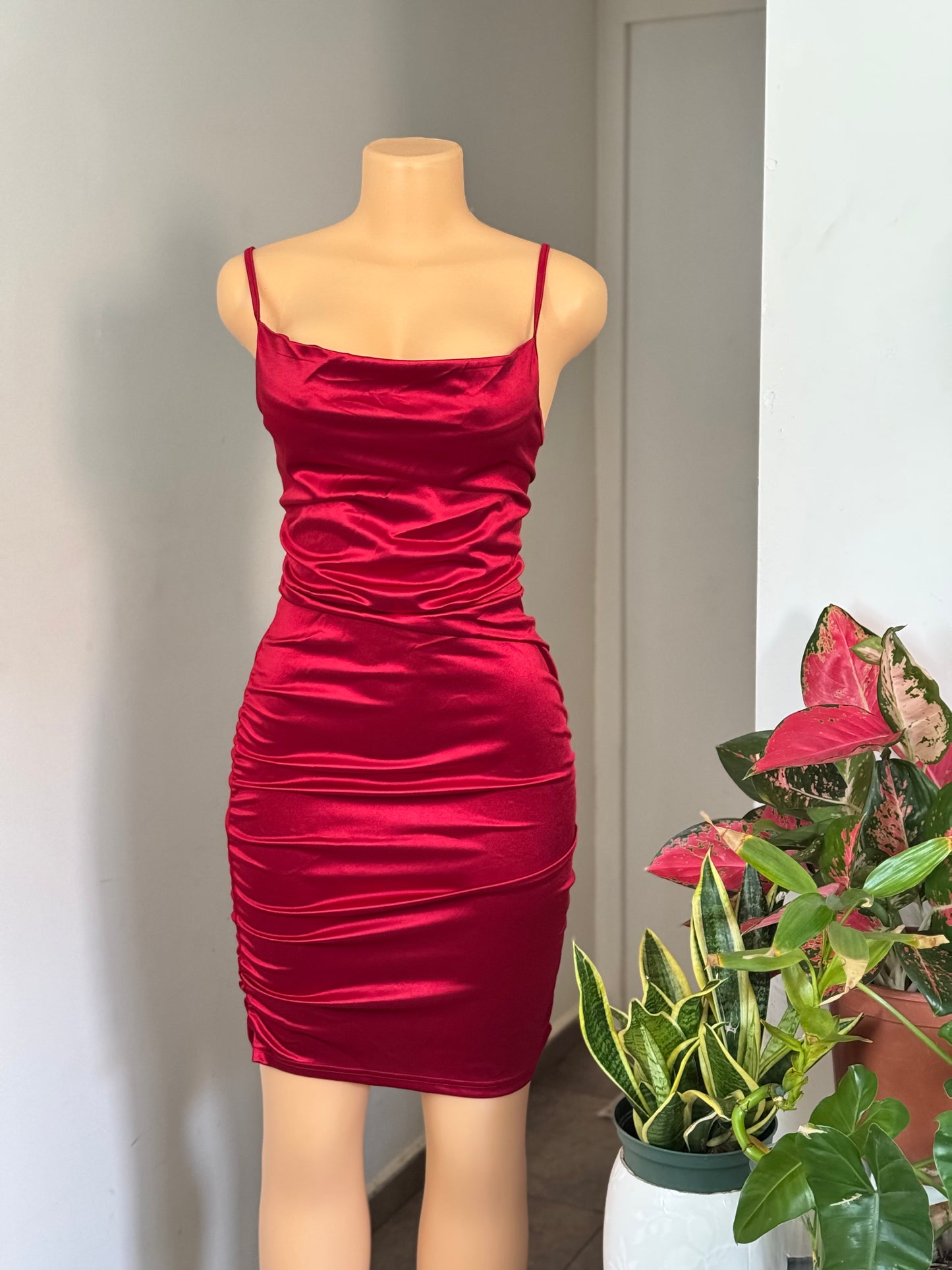Valentine silky dream